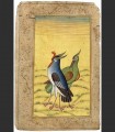 290 - Coppia di uccelli, pittura Mughal a tempera su carta, 17th secolo, India